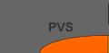 PVS link