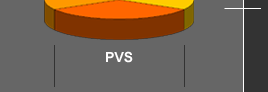 PVS